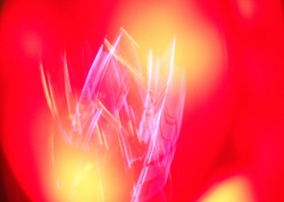Abstract red and pink light photography by Michelle Scullion